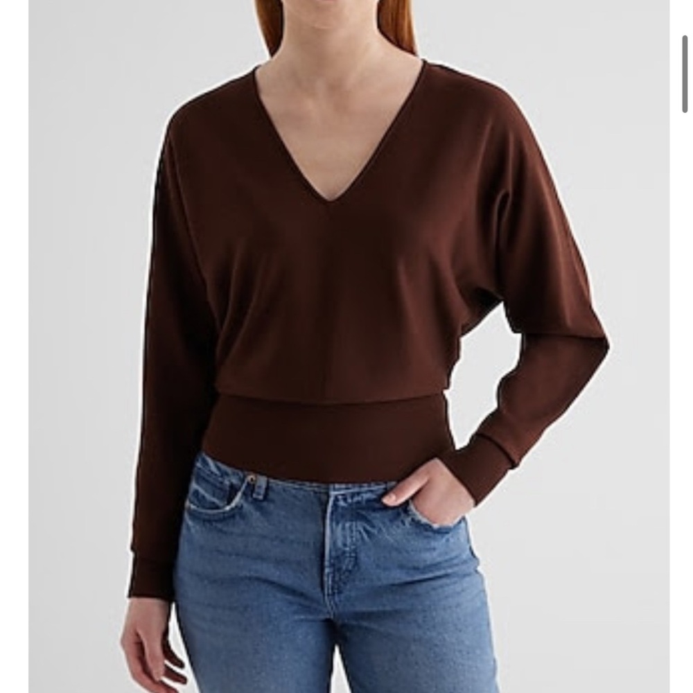 Express V-Neck banded bottom soho Sweater